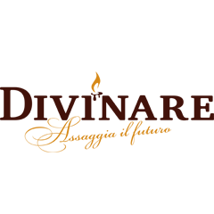 Компания Divinare из итальянского региона Венето с 2005 г  создаёт особую по своим эстетическим и эксплуатационным качествам светотехническую продукцию из стекла Мурано с отделкой из металла.